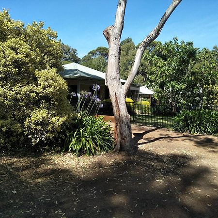 Margaret House Lejlighed Margaret River Eksteriør billede