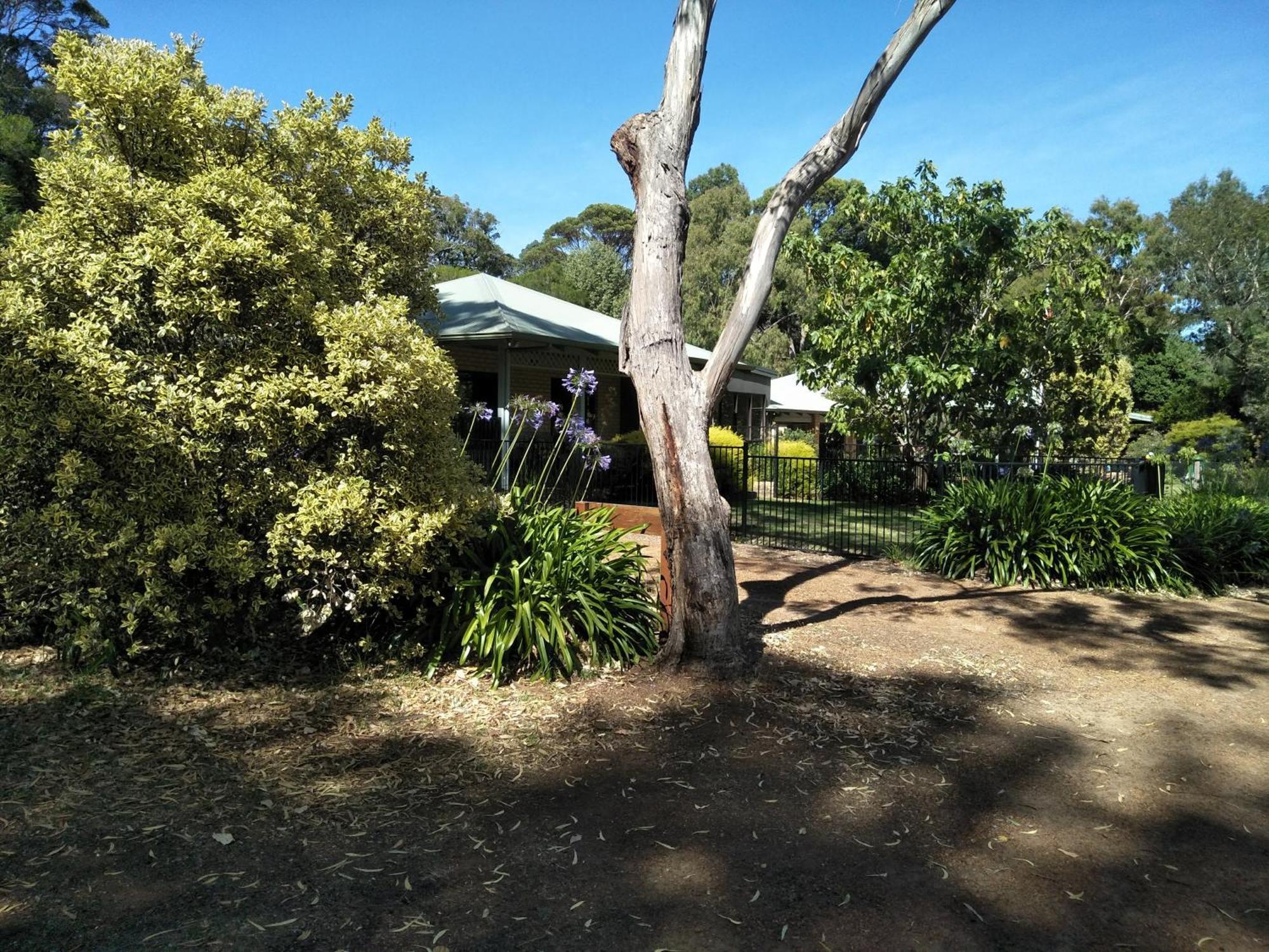Margaret House Lejlighed Margaret River Eksteriør billede